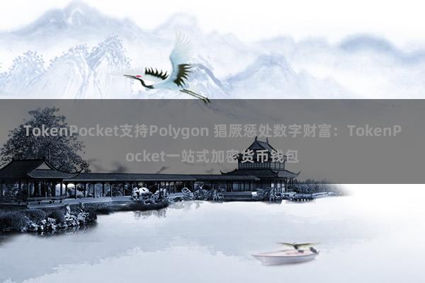 TokenPocket支持Polygon 猖厥惩处数字财富：TokenPocket一站式加密货币钱包